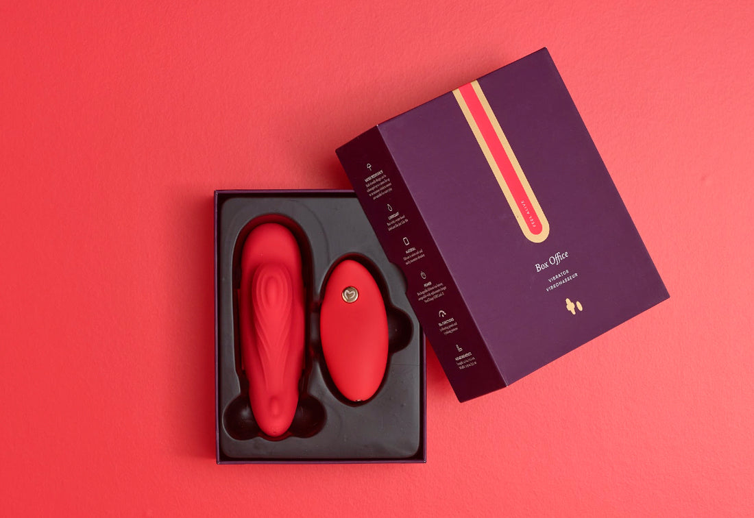 8 FORMAS DE UTILIZAR UN VIBRADOR CON MANDO A DISTANCIA